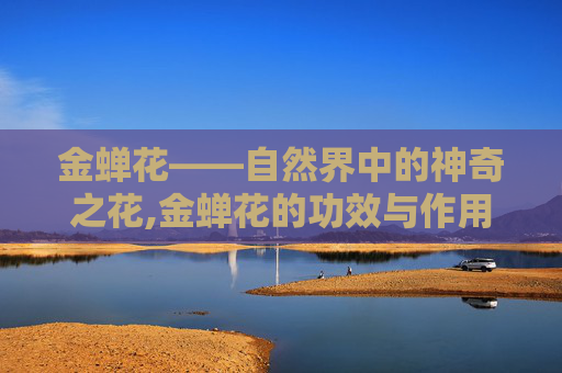 金蝉花——自然界中的神奇之花,金蝉花的功效与作用的功能与主治 金蝉花——自然界中的神奇之花,金蝉花的功效与作用的功能与主治
