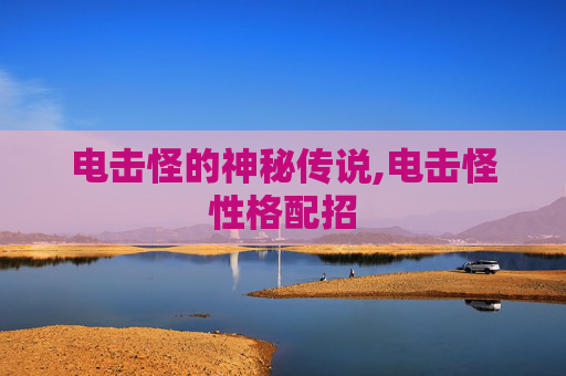 电击怪的神秘传说,电击怪性格配招 电击怪的神秘传说,电击怪性格配招