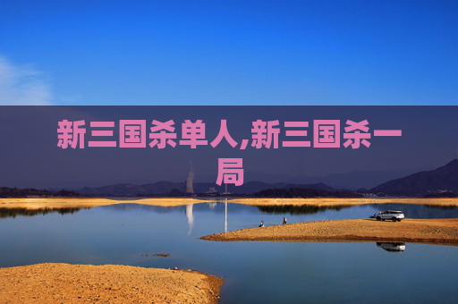 新三国杀单人,新三国杀一局