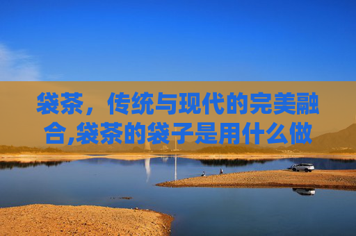 袋茶，传统与现代的完美融合,袋茶的袋子是用什么做的