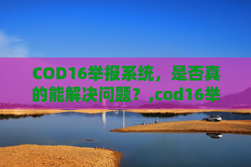 COD16举报系统，是否真的能解决问题？,cod16举报有用吗