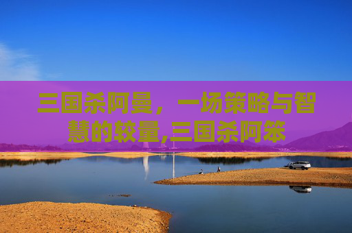 三国杀阿曼，一场策略与智慧的较量,三国杀阿笨