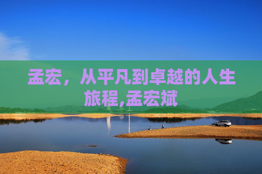 孟宏，从平凡到卓越的人生旅程,孟宏斌