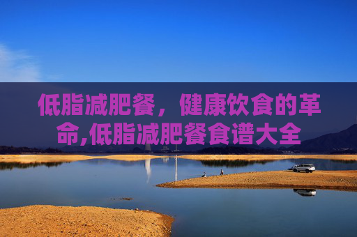 低脂减肥餐，健康饮食的革命,低脂减肥餐食谱大全