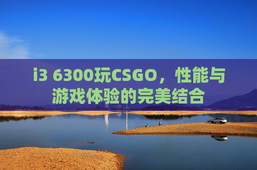 i3 6300玩CSGO，性能与游戏体验的完美结合