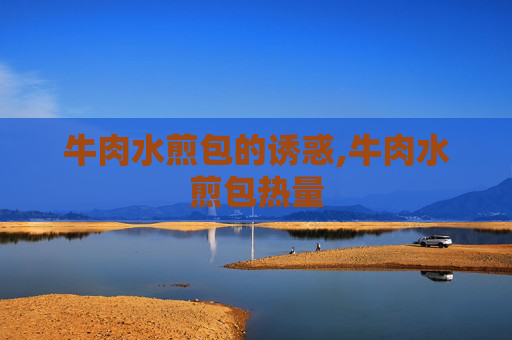 牛肉水煎包的诱惑,牛肉水煎包热量