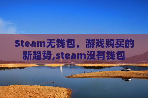 Steam无钱包，游戏购买的新趋势,steam没有钱包