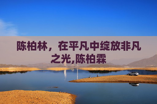 陈柏林，在平凡中绽放非凡之光,陈柏霖
