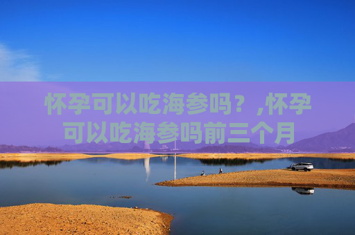 怀孕可以吃海参吗？,怀孕可以吃海参吗前三个月