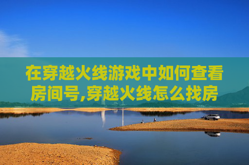 在穿越火线游戏中如何查看房间号,穿越火线怎么找房间号