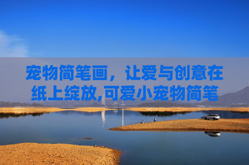 宠物简笔画，让爱与创意在纸上绽放,可爱小宠物简笔画