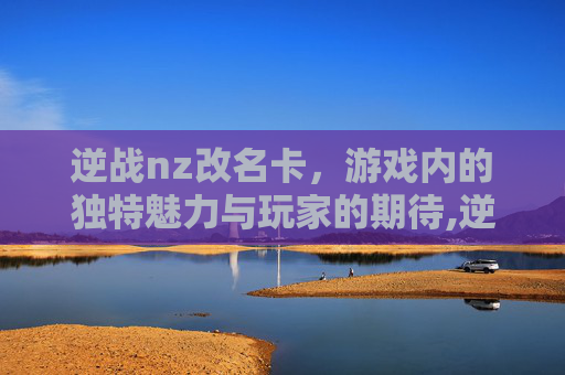 逆战nz改名卡，游戏内的独特魅力与玩家的期待,逆战改名卡哪里买2020
