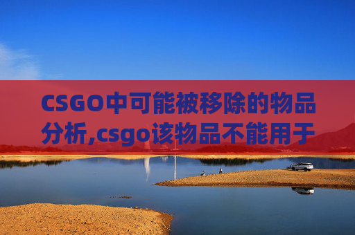 CSGO中可能被移除的物品分析,csgo该物品不能用于交易