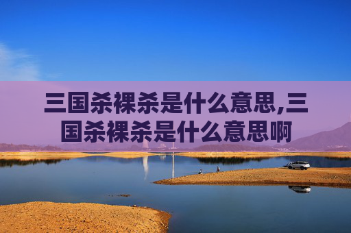 三国杀裸杀是什么意思,三国杀裸杀是什么意思啊