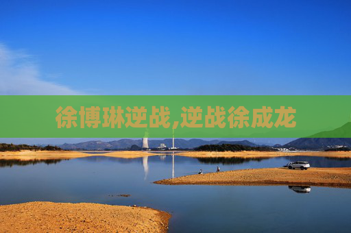 徐博琳逆战,逆战徐成龙