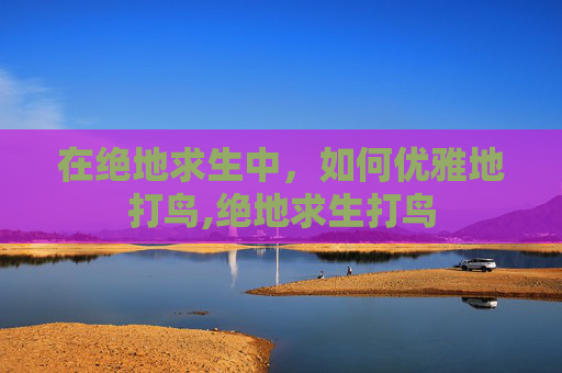 在绝地求生中，如何优雅地打鸟,绝地求生打鸟