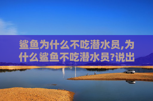鲨鱼为什么不吃潜水员,为什么鲨鱼不吃潜水员?说出来你都不敢相信