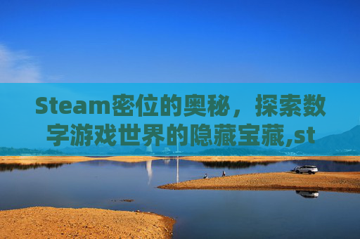 Steam密位的奥秘，探索数字游戏世界的隐藏宝藏,steam的密码要求怎么写