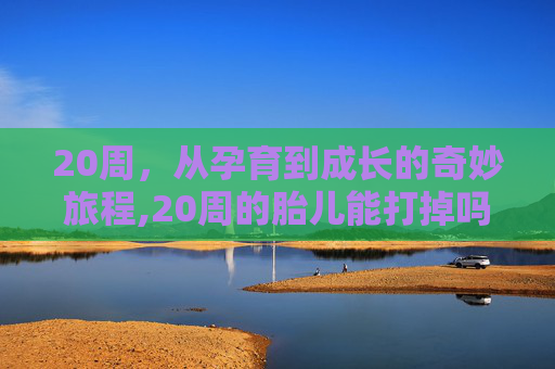 20周，从孕育到成长的奇妙旅程,20周的胎儿能打掉吗