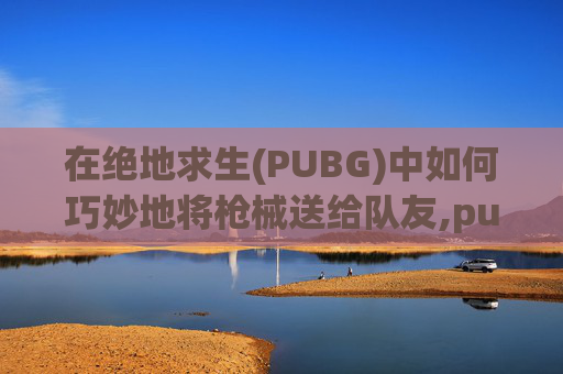 在绝地求生(PUBG)中如何巧妙地将枪械送给队友,pubg枪皮肤怎么送人