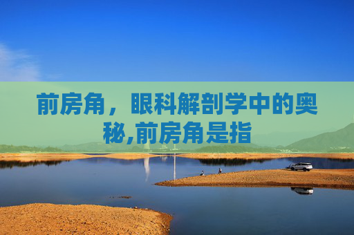 前房角，眼科解剖学中的奥秘,前房角是指