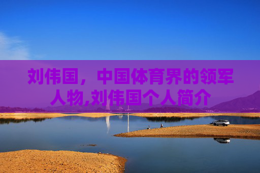 刘伟国，中国体育界的领军人物,刘伟国个人简介