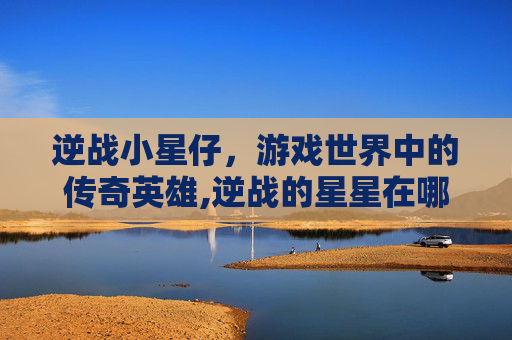 逆战小星仔，游戏世界中的传奇英雄,逆战的星星在哪换
