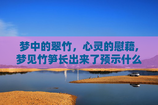 梦中的翠竹，心灵的慰藉,梦见竹笋长出来了预示什么