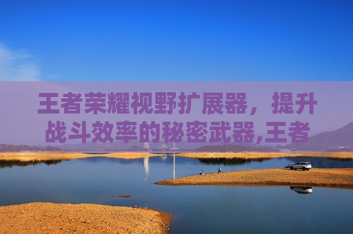 王者荣耀视野扩展器，提升战斗效率的秘密武器,王者荣耀视野扩展器怎么设置