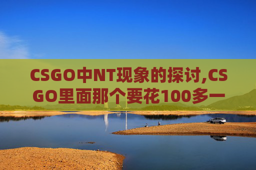 CSGO中NT现象的探讨,CSGO里面那个要花100多一点那个是什么