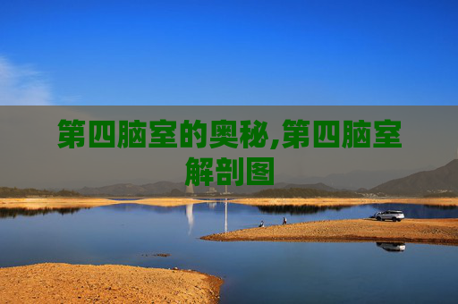 第四脑室的奥秘,第四脑室解剖图