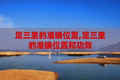 足三里的准确位置,足三里的准确位置和功效