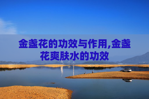 金盏花的功效与作用,金盏花爽肤水的功效