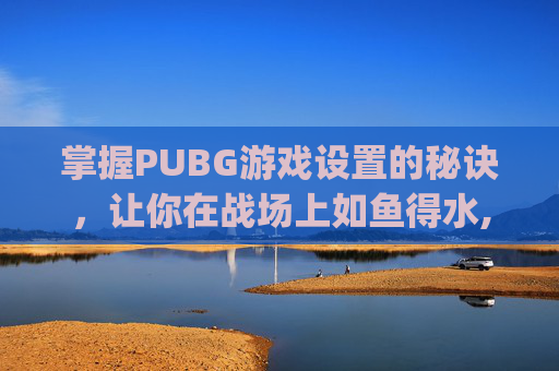 掌握PUBG游戏设置的秘诀，让你在战场上如鱼得水,pubg最低配置怎么设置