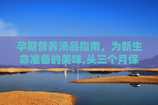 孕期营养汤品指南，为新生命准备的美味,头三个月保胎喝什么汤
