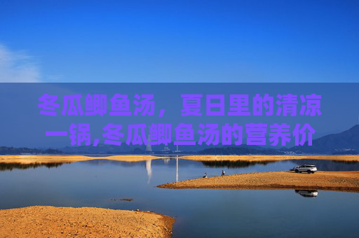 冬瓜鲫鱼汤，夏日里的清凉一锅,冬瓜鲫鱼汤的营养价值及功效