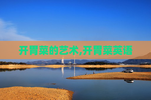 开胃菜的艺术,开胃菜英语