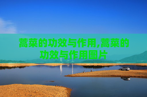 蒿菜的功效与作用,蒿菜的功效与作用图片