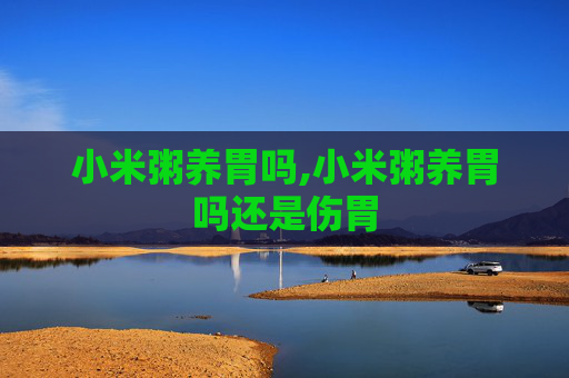 小米粥养胃吗,小米粥养胃吗还是伤胃