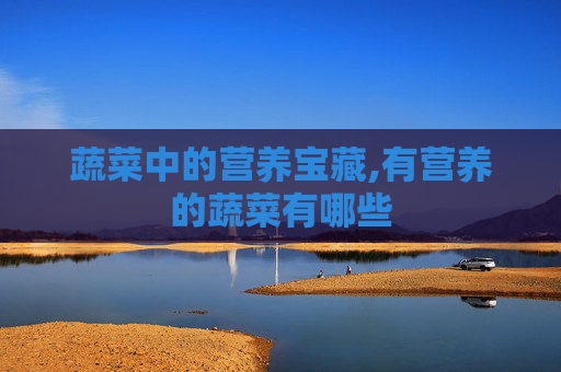 蔬菜中的营养宝藏,有营养的蔬菜有哪些
