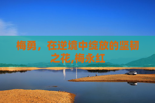 梅勇，在逆境中绽放的坚韧之花,梅永红