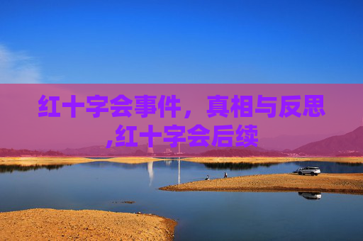 红十字会事件，真相与反思,红十字会后续