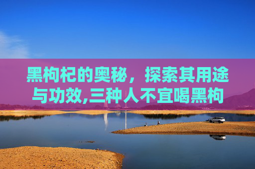 黑枸杞的奥秘，探索其用途与功效,三种人不宜喝黑枸杞
