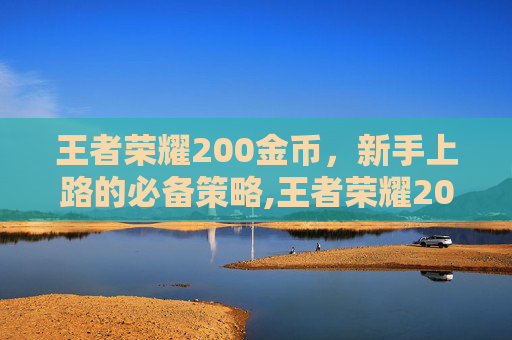 王者荣耀200金币，新手上路的必备策略,王者荣耀200金币多少钱