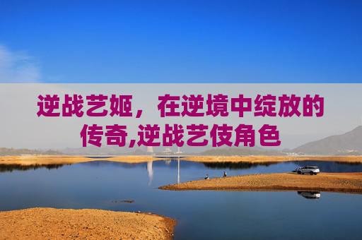 逆战艺姬，在逆境中绽放的传奇,逆战艺伎角色