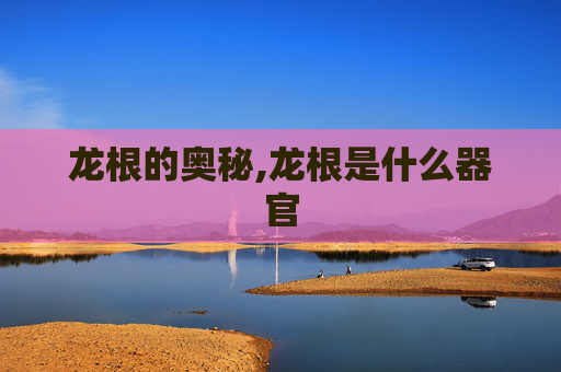 龙根的奥秘,龙根是什么器官