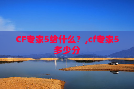 CF专家5给什么？,cf专家5多少分