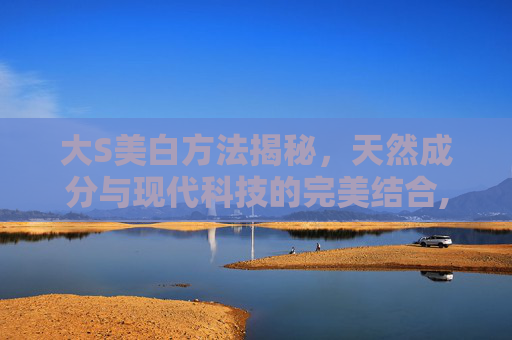 大S美白方法揭秘，天然成分与现代科技的完美结合,大s美白秘籍如何美白
