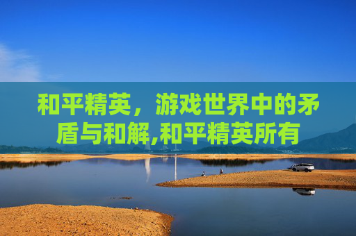 和平精英，游戏世界中的矛盾与和解,和平精英所有