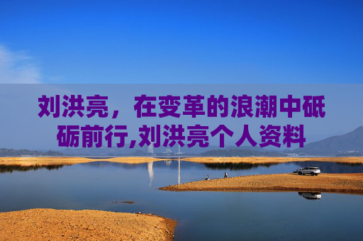 刘洪亮，在变革的浪潮中砥砺前行,刘洪亮个人资料